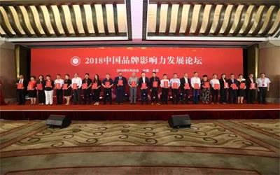 球友体育公司荣膺“2018中国品牌影响力百强”企业